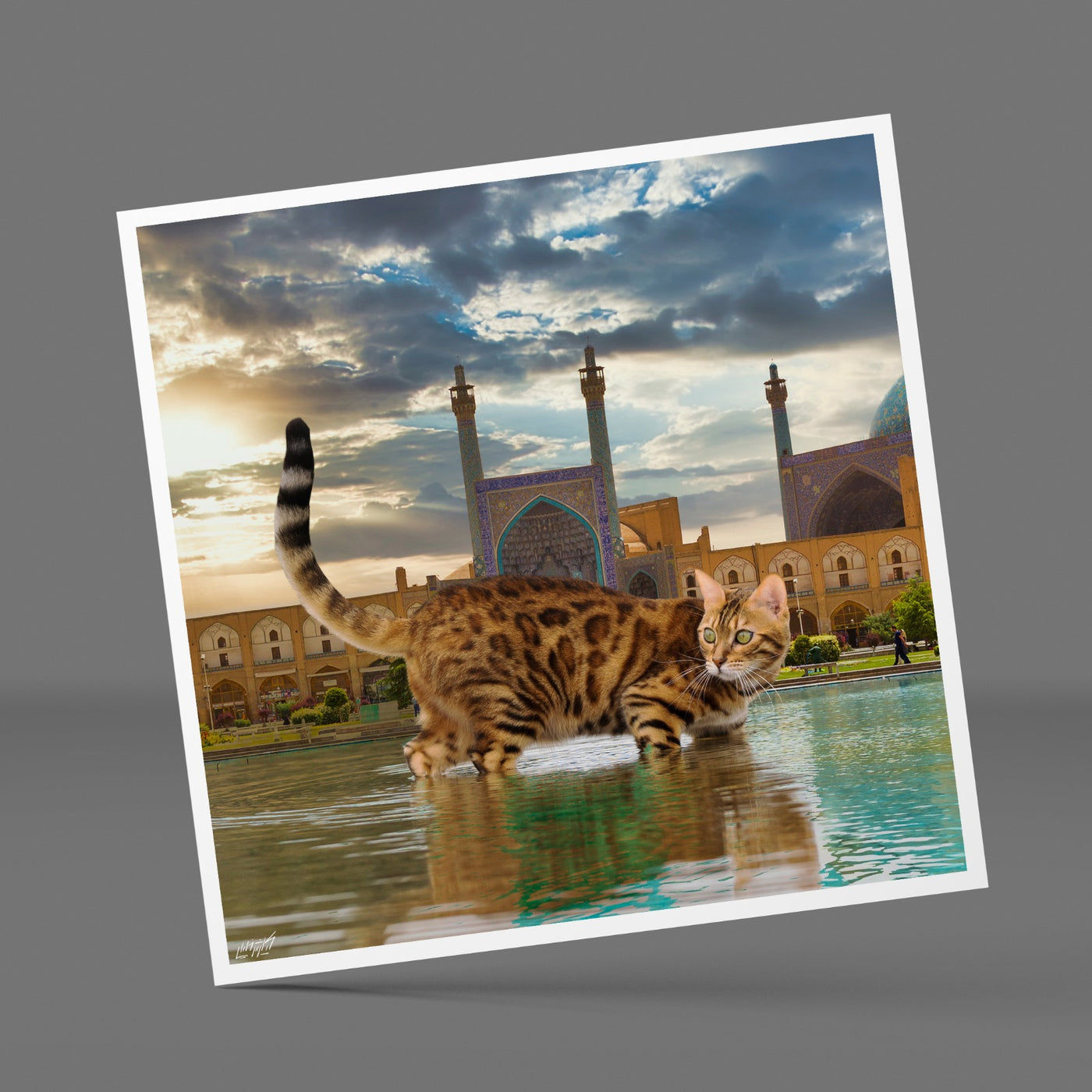 Cat & Naqsh-e Jahan - Fine Art Printing